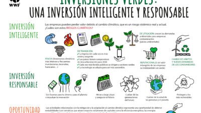 pasos para finanzas sostenibles